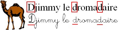 djimmy_le_dromadaire.jpg