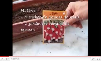 capture_fairepousserdesradis.jpg