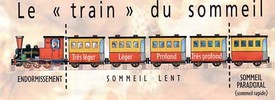 train_sommeil.jpg