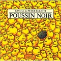 poussin_noir.jpg